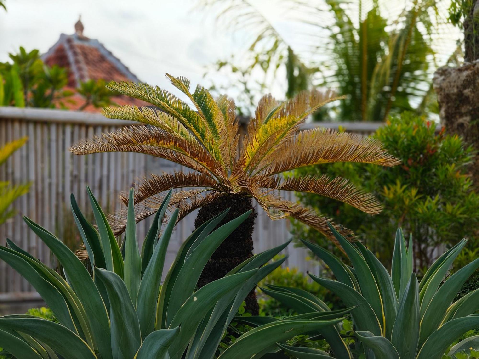 Alam Cottage Uluwatu Luaran gambar